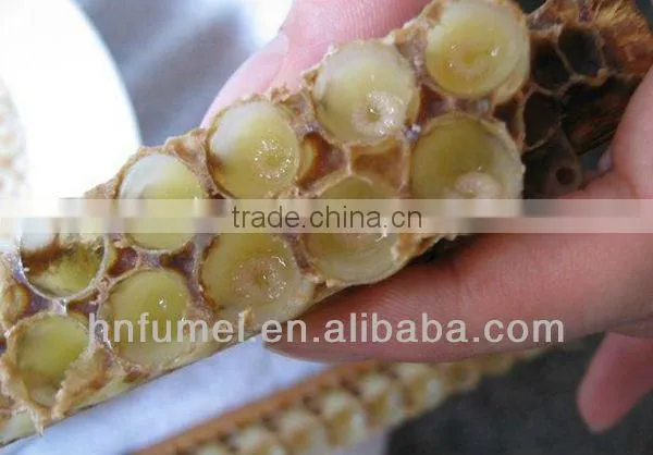 antibotic free high quality lyophiled royal jelly powder