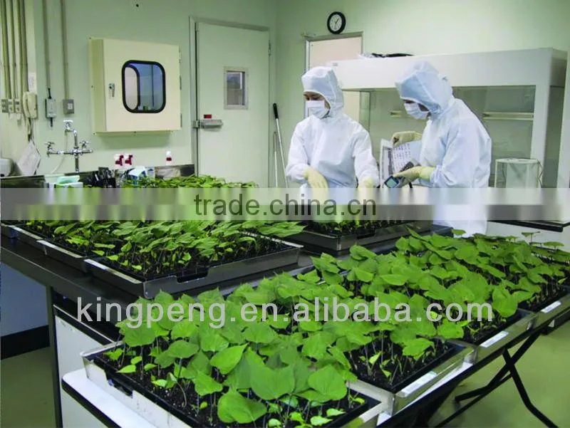 Professional Quarantine Glass Greenhouse