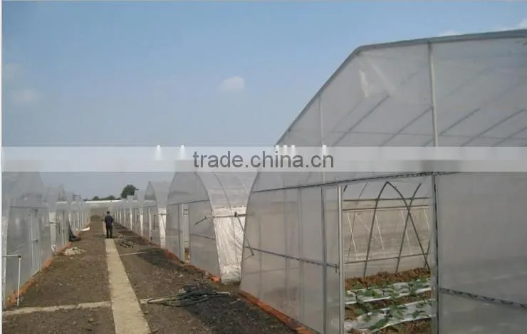 Low cost agricultural greenhouse