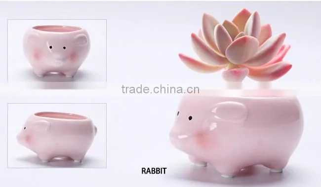 Cartoon succulent flowerpot ornaments small ceramic animal planters