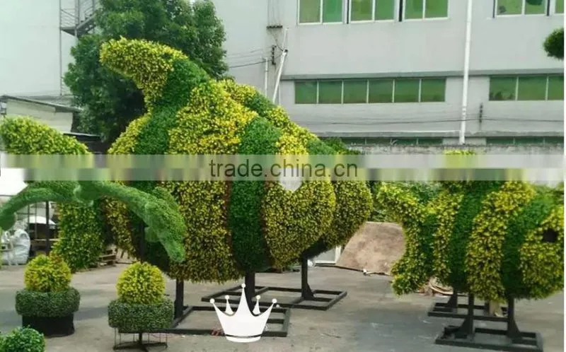 vertical garden green plants wall,green wall backdrop