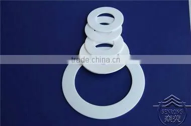 Ring gasket seal gasket