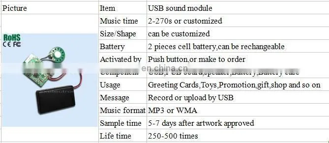 2 Pieces AAA Battery USB sound recordable module