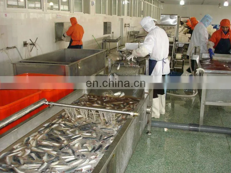 Complete canned sardines production line