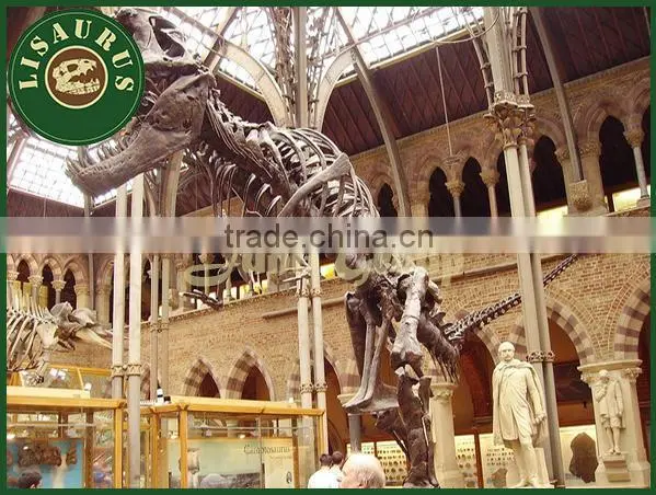 Lisaurus-V promotion for dinosaur bone