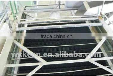 Commercial fruit and vegetable washer with best quality