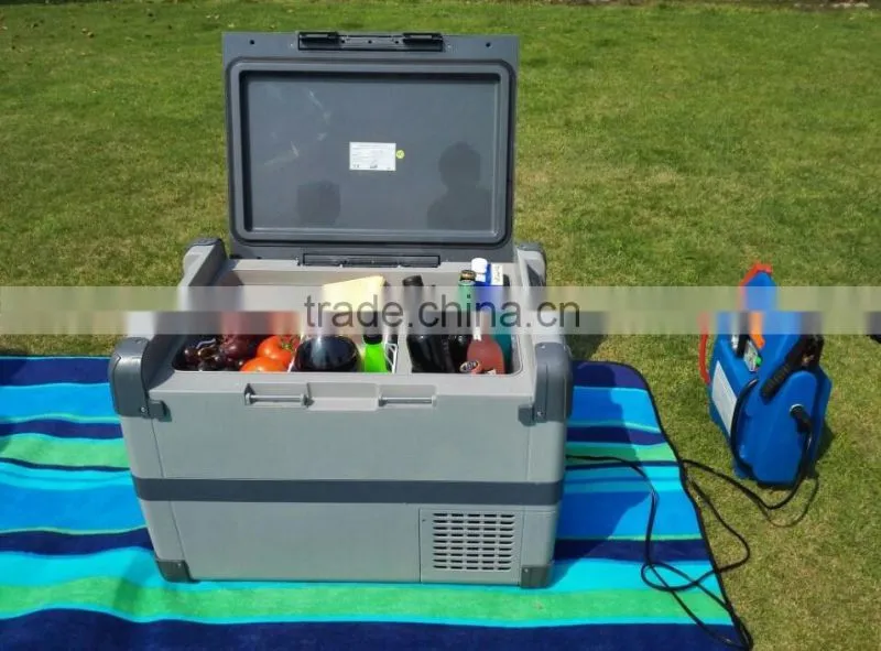 Mini Portable Refrigerator Cooler Warmer for Car Home 110V/220v 12V 28L