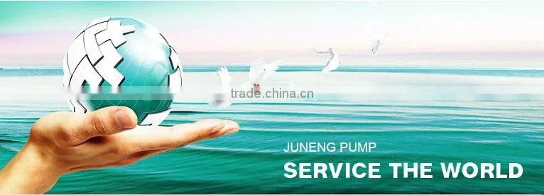 High Pressure Profile Control Pump YTB