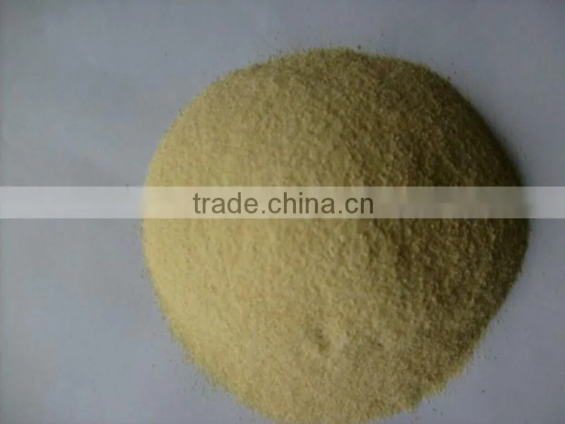garlic powder