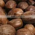 Nutmeg Oleoresin
