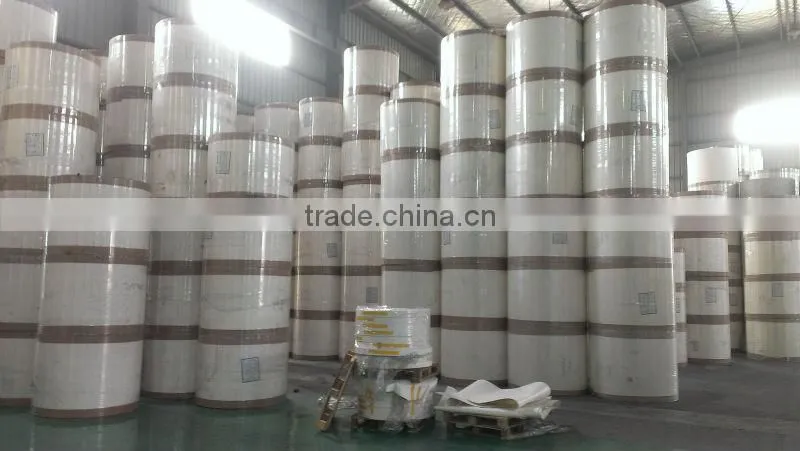PE COATED PAPER FOR COFFEE/TEA CUP