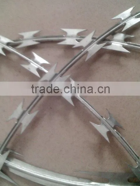 Galvanized 16*16 & 16*18 barbed wire fence(Anping)