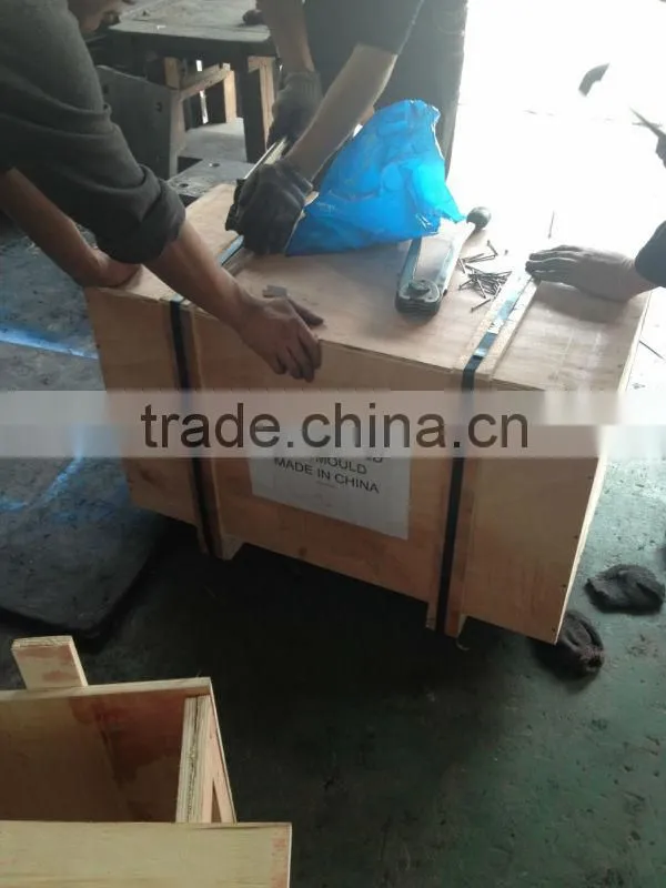 high quality plastic dog house Injection Mold