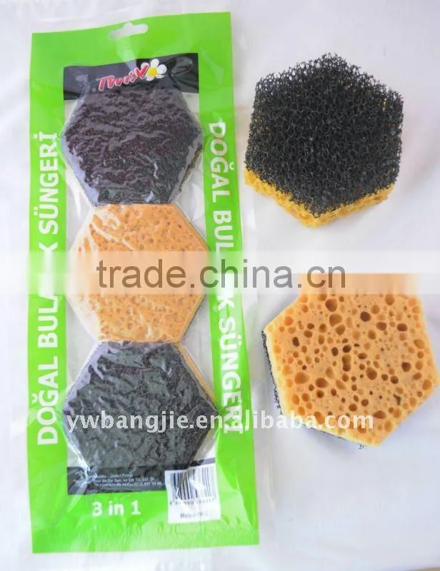 compressed sponge