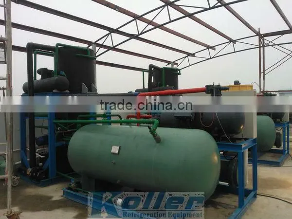 edible tube ice making machine with Economic Packing System