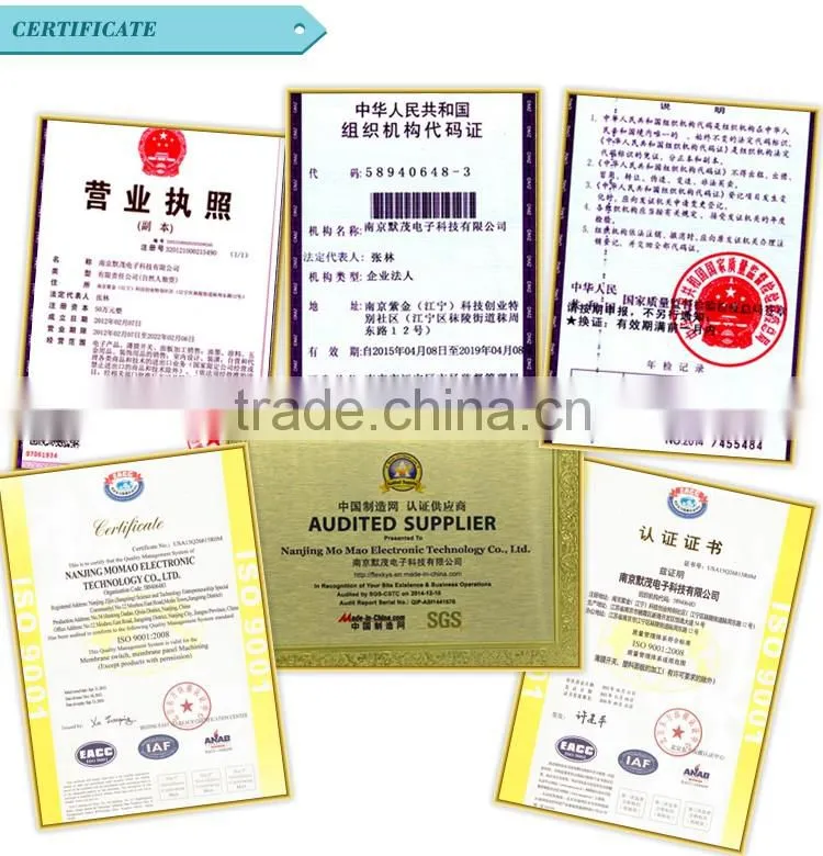 China membrane switch