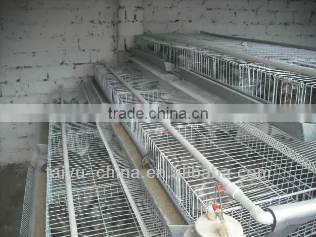 high quality Quail cage