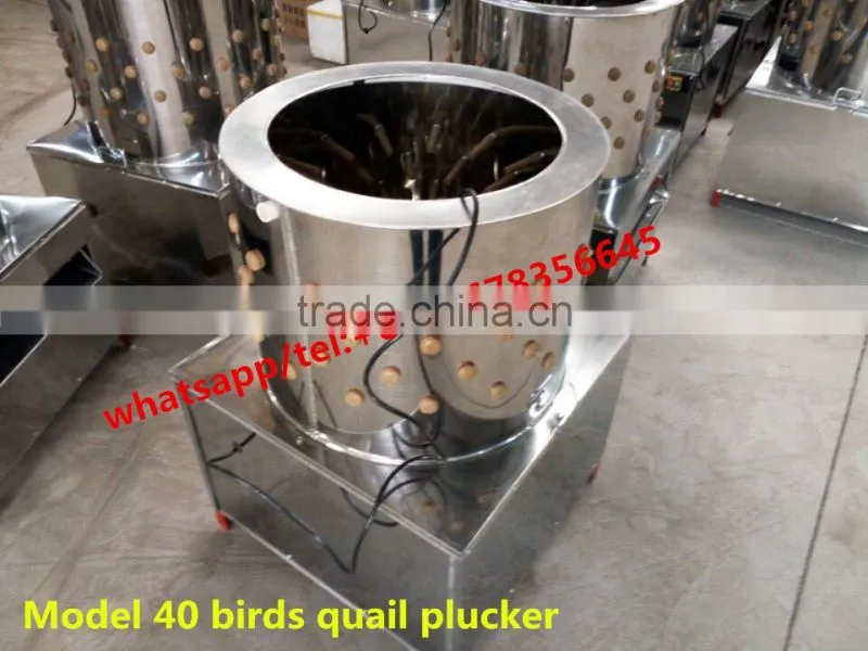 Slaughtering house used chicken pluckers for sale MJ-40 model birds /quail plucker for sale