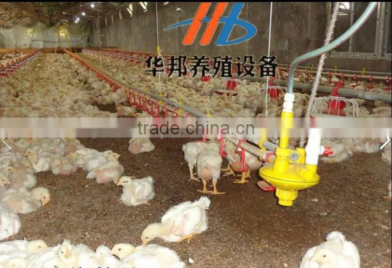 Alibaba Trade Assurance poultry drinking system nipple drinking on sale