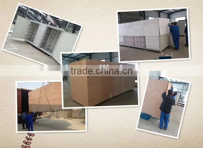 HOT! China made soya bean sprout machine