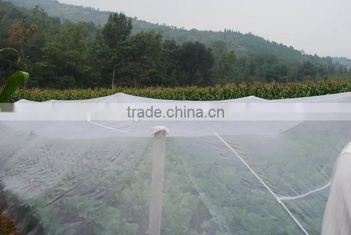 Icewine Netting is a knitted polyethylene netting manufactured for use in icewine grape production.