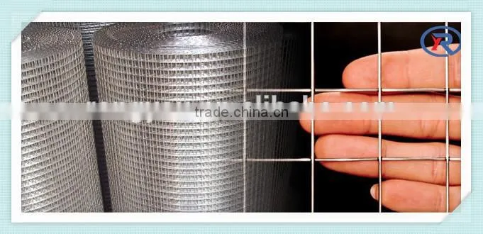 trade assurance Galvanized Iron Welded Wire Netting mesh