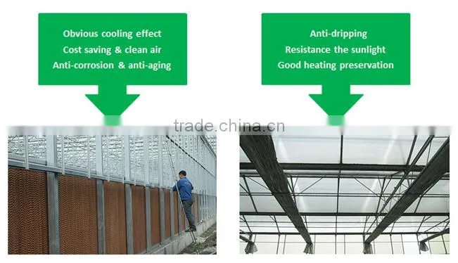Commercial wrought iron greenhouse industrial for sale