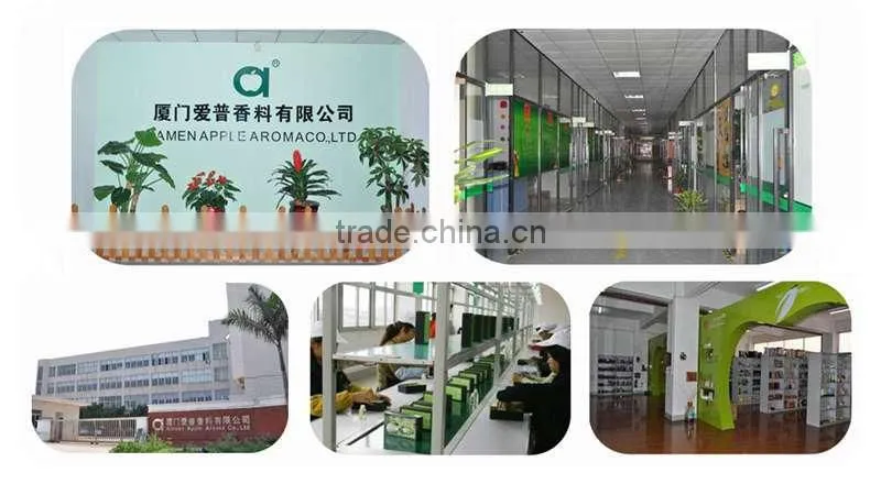 120ml Square Glass Bottle for Fragrance Aroma Reed Diffuser