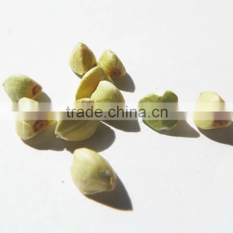 Organic buckwheat