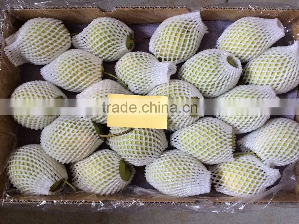 Good Qulity Fresh Shandong Pear Export To India
