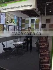 Tianjin Sino-New Energy Technology Co., Ltd. company overview - view 1