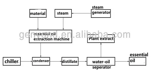 Clove Oil Extraction Nature Plant Extract Clove Essential Oil Extraction Machine