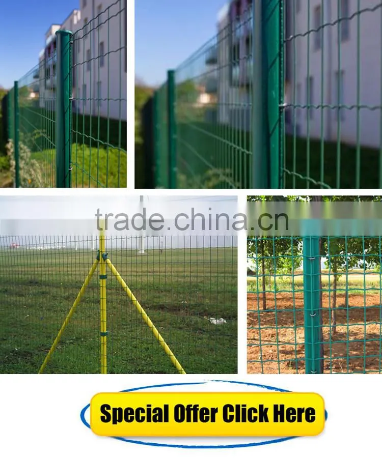 Euro Welded Wire Mesh Roll Garden Fence