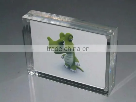 China OEM/ODM acrylic sexy funia picture photo frame