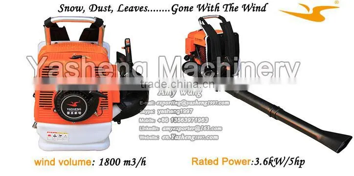 Mini Leaf Blower for Garden Work