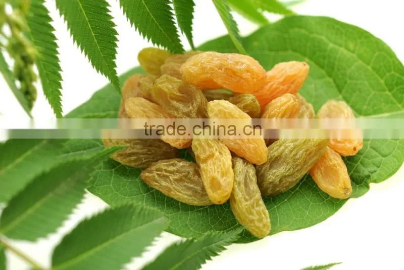 Xinjiang specialty sultanina seedless grape