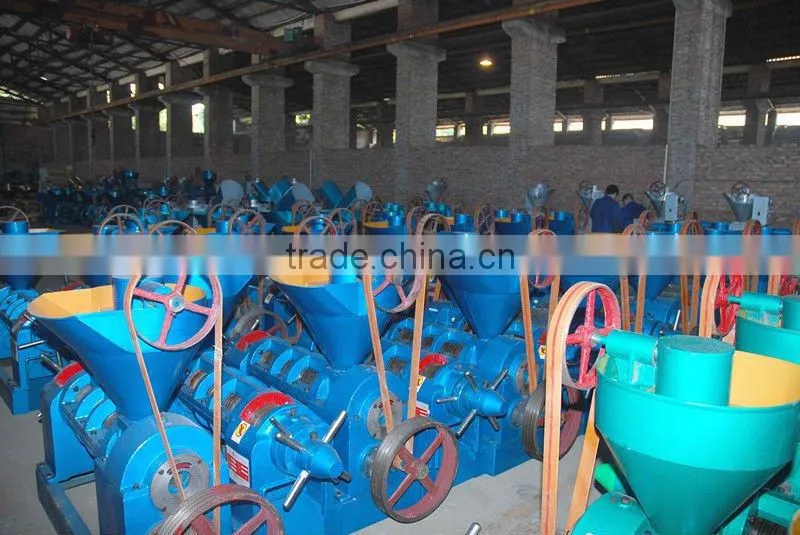 Asia market hot pressing coconut oil extractor