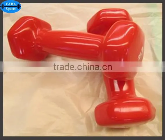 Vinyl Dumbbell FRD-101