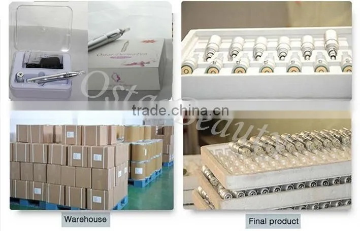 Home use derma pen micro needle therapy