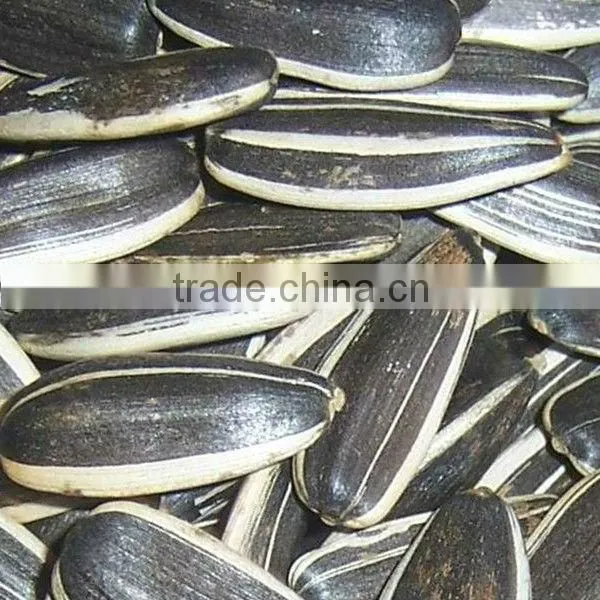 Low price sunflower seeds