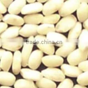 rice color sorting machinery