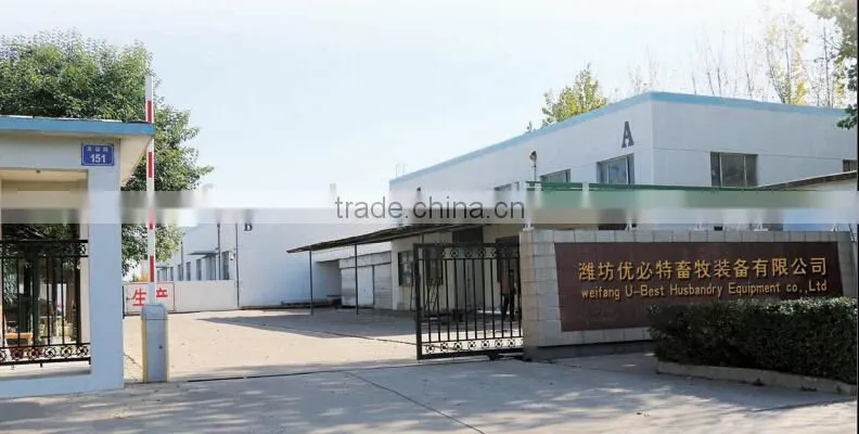 chicken house broiler rearing equipment
