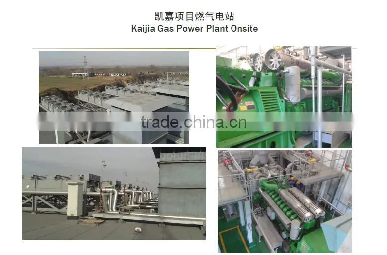 Camda lpg generator/Gas generator/Power plant