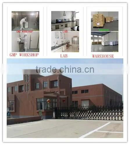 Potassium acetate direct manufacturer