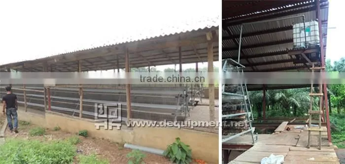 a type automatic battery chicken layer poultry cages for nigeria/africa