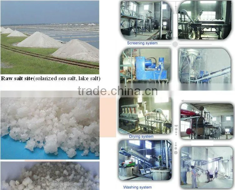 Table salt making machine