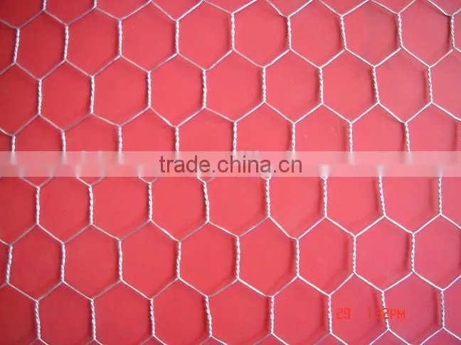 Low cost hexagonal netting /chicken wire mesh/ poultry hexagonal netting for sale