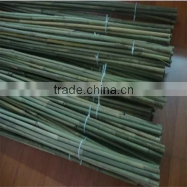 bamboo canes / pole