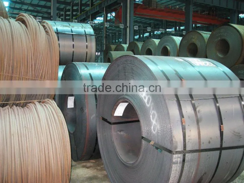 Galvanized Steel Sheets in Coils SGCC