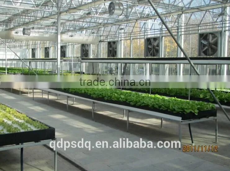 Greenhouse/ Poultry House Ventilation Exhaust Fan